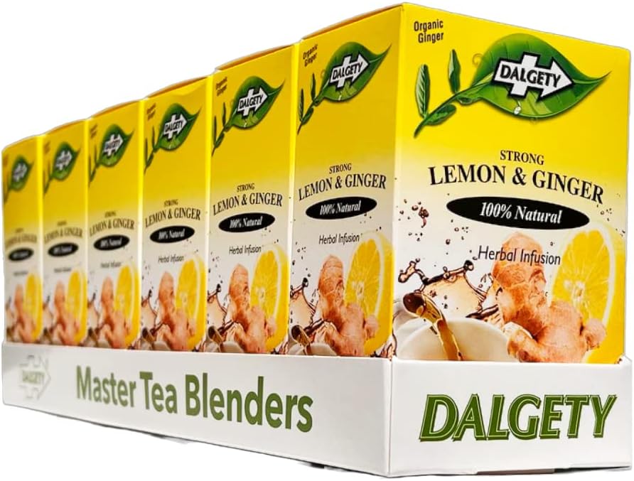 Dalgety Lemon & Ginger Herbal Infusion (carton 54g)