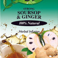 Dalgety Soursop & Ginger Herbal Infusion (carton 40g)